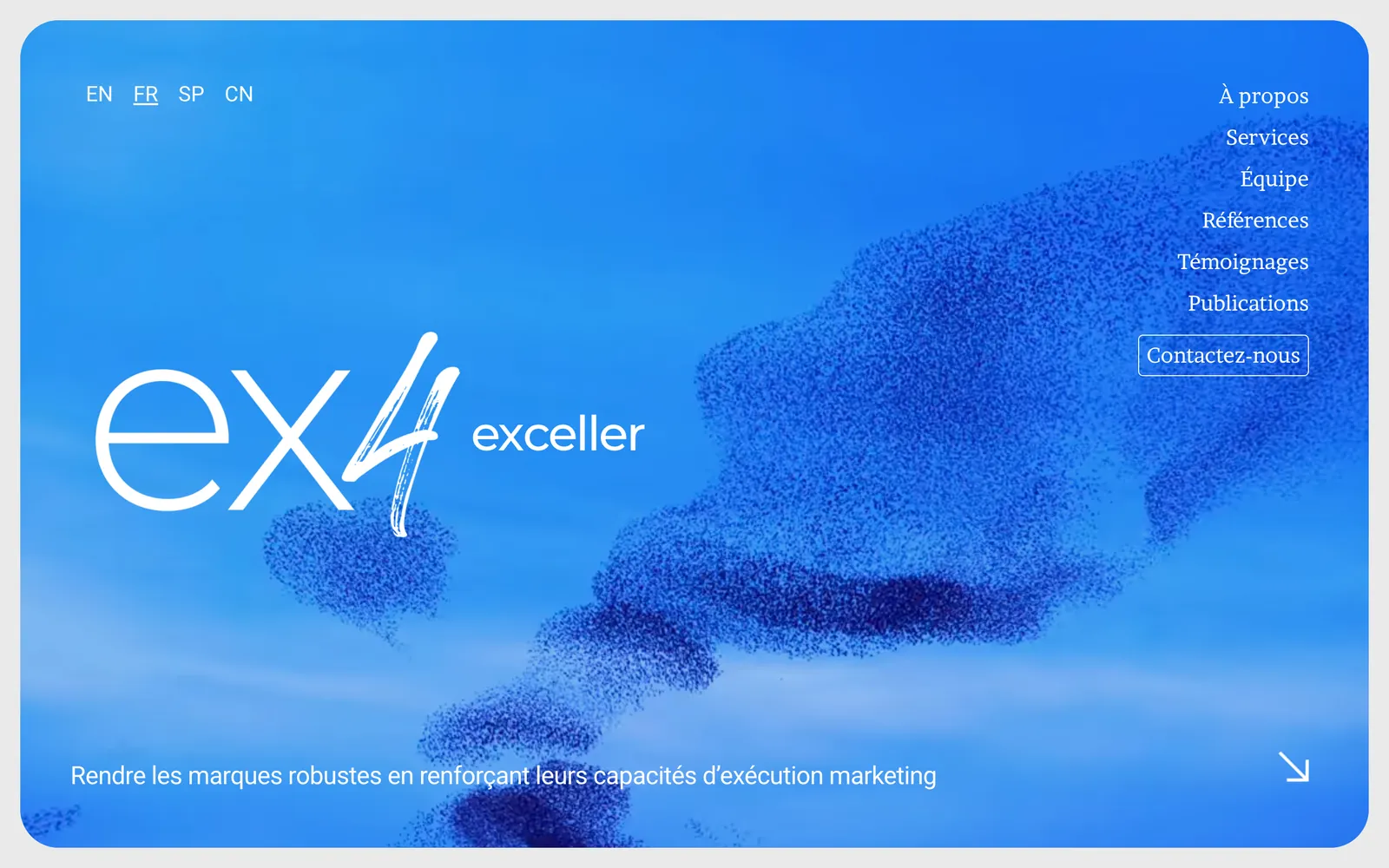 Site Ex4, page d'accueil sur ordinateur